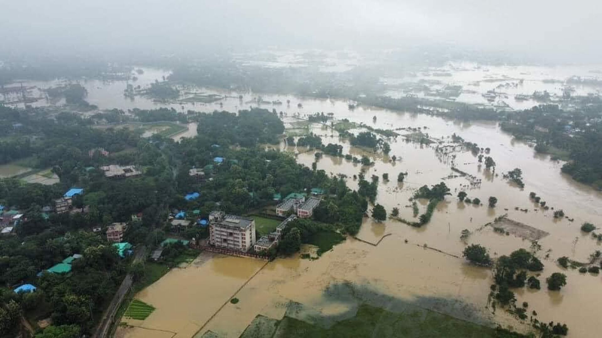 Floods destroy over 1M metric tonnes of rice in Bangladesh