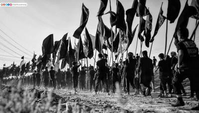 عارفا بحقّہ : زیارتِ امام حسینؑ کی روح، معرفتِ امامت اور عملی پیروی کا پیغام