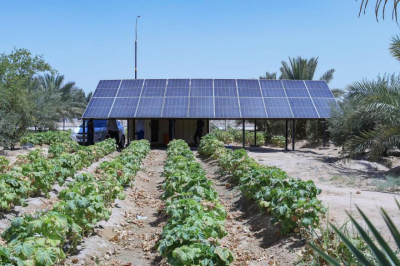 Using world-class technology, Al-Abbas Holy Shrine produces 120,000 solar panels annually