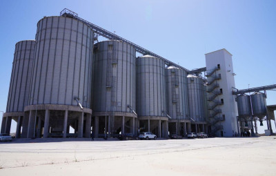 التجارة تعلن عن المباشرة بتنفيذ سايلوات جديدة لتخزين الحنطة
