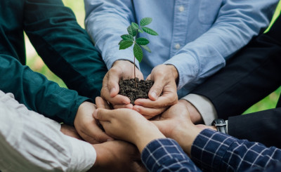 مفهوم التضامن في فكر القيادة المعاصرة