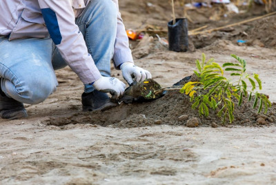 The Holy Shrine of Imam Hussain launches major tree-planting campaign in Karbala schools