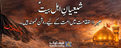 شیعانِ اہلِ بیتؑ صبر و استقامت میں امت کے لیے روشن نمونہ ہیں