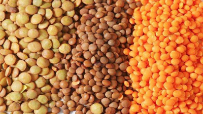 غذاء بسيط بفوائد صحية كبيرة