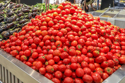 الزراعة: توسيع إنتاج الطماطم محلياً على مدار العام