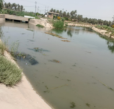 الجمعيات الفلاحية في كربلاء تتابع ميدانياً أسباب انخفاض المياه في جدول الحسينية الإروائي