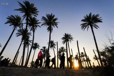 Sous l'ombre des palmiers, les pèlerins poursuivent leur marche vers Kerbala