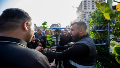 À l'occasion du pèlerinage de l'Arbaïn et pour promouvoir la sensibilisation environnementale, le département de l'embellissement et du reboisement du Sanctuaire de l'Imam Hussein lance une campagne de distribution de jeunes plants aux pèlerins